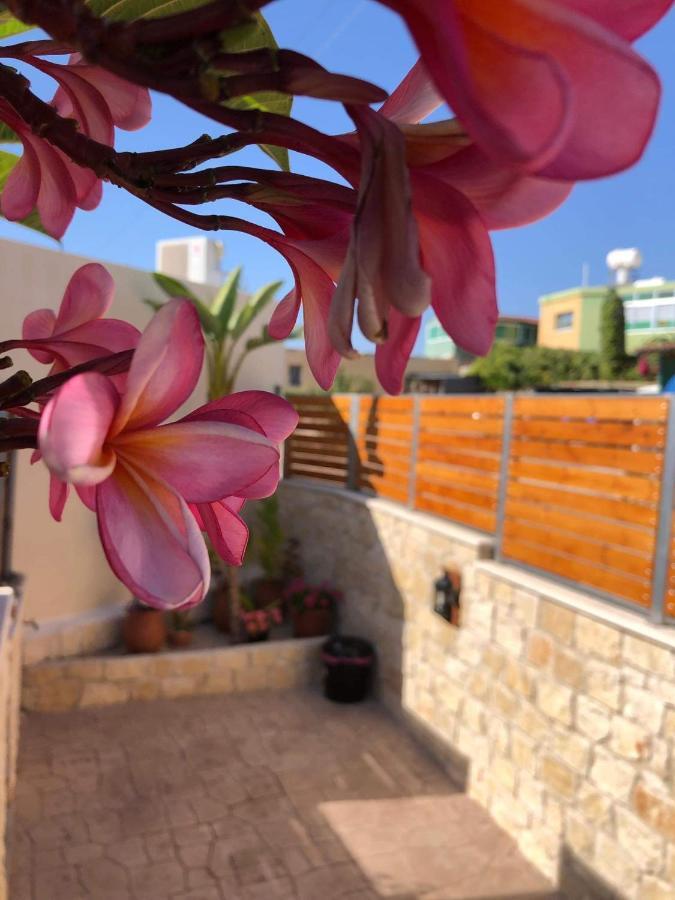 Fontana Traditional House Anarita Dış mekan fotoğraf